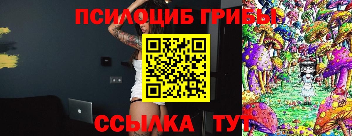 Тихвин  Галлюциногенные грибы Psilocybe  Вход с VPN  наркотики  Псилоцибиновые грибы MAGIC MUSHROOMS 