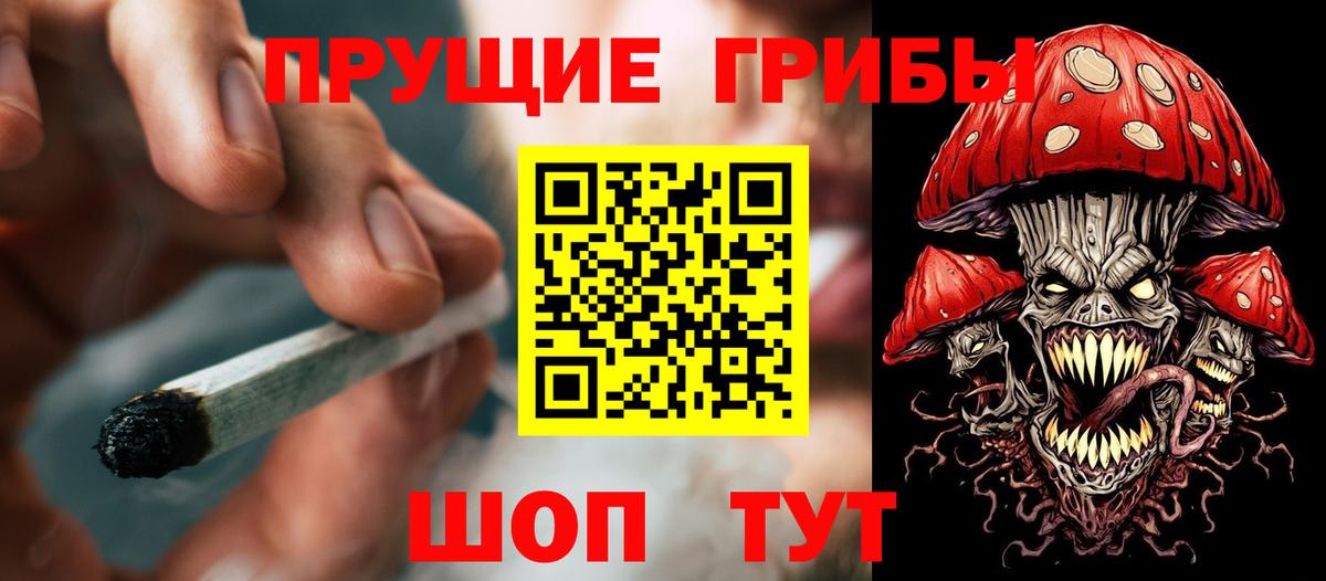 Галлюциногенные грибы Psilocybe Тихвин